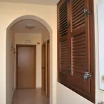 Ippocampo Licata