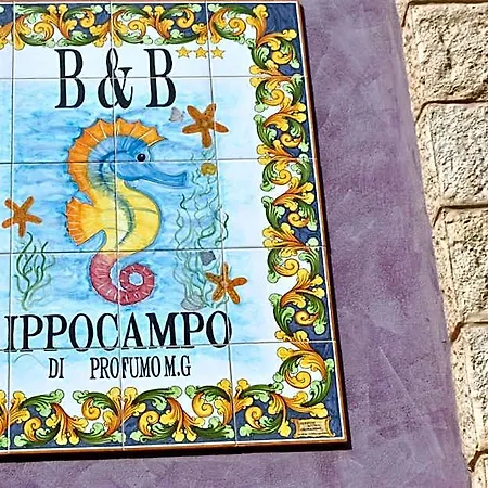 Ippocampo 4* Licata